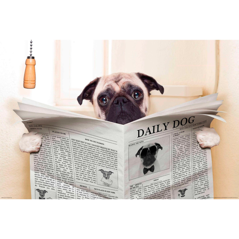 Papermoon Fotobehang Newspaper Dog afbeelding 1