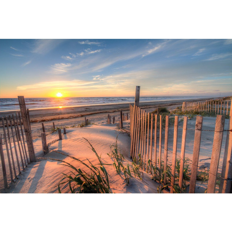 Papermoon Fotobehang Outer Banks Dunes Vliesbehang, eersteklas digitale print afbeelding 1