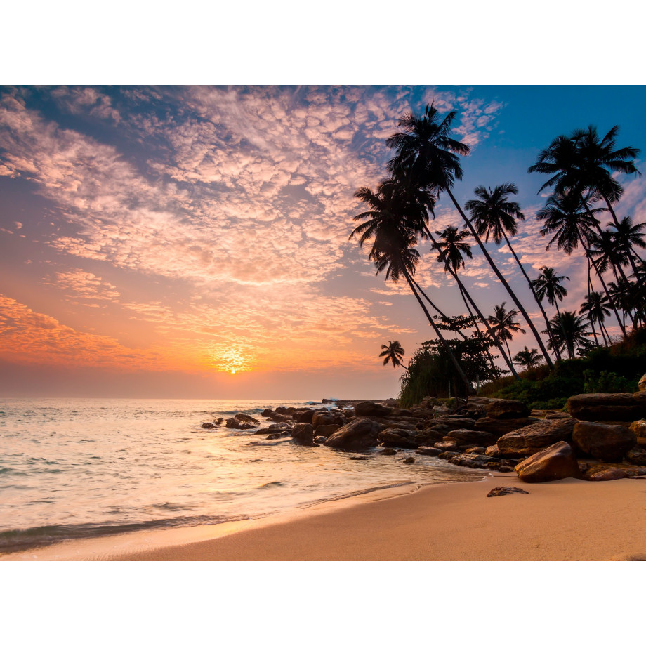 Papermoon Fotobehang Palm Beach Sri Lanka afbeelding 1