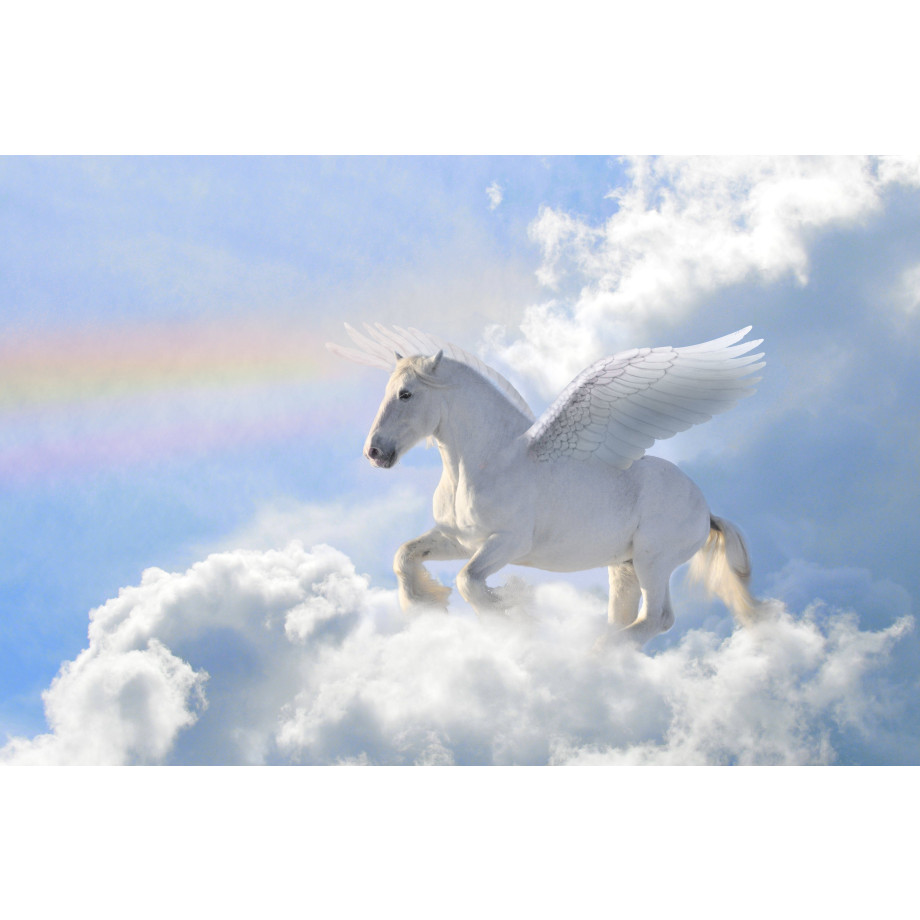 Papermoon Fotobehang Pegasus in the Clouds afbeelding 1