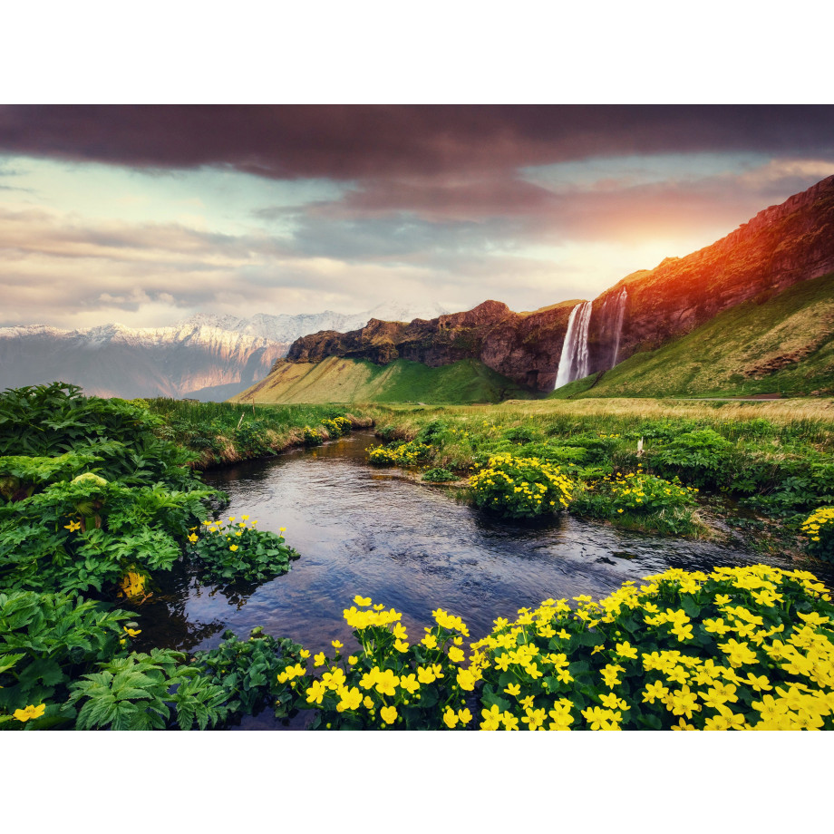 Papermoon Fotobehang Seljalandfoss waterfall Iceland afbeelding 1