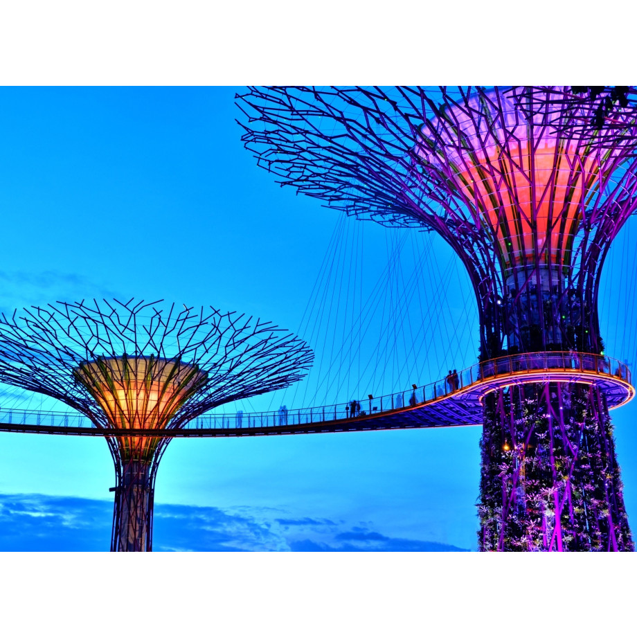 Papermoon Fotobehang Singapore Bay Supertrees afbeelding 1