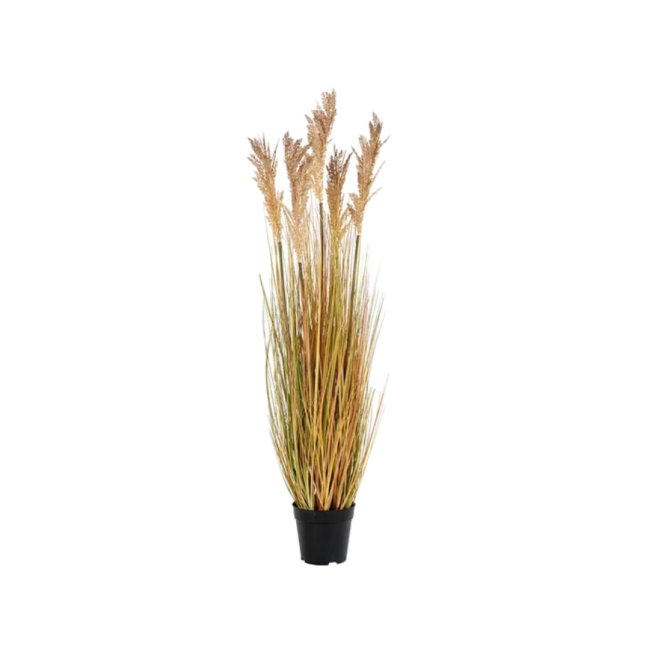 Pauline Sorghum kunstplant - 110 cm Pauline Sorghum kunstplant - 110 cm afbeelding 1
