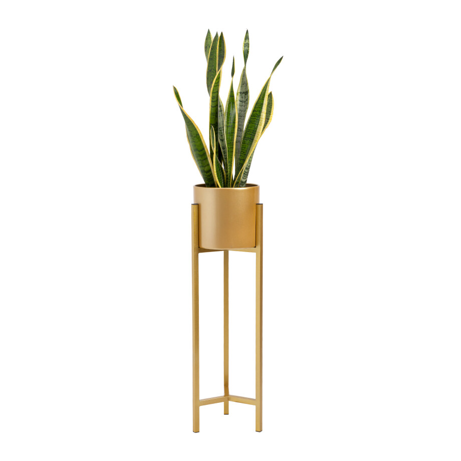 QUVIO Plantenstandaard metaal - 22x22x75 cm - Goud - M afbeelding 1