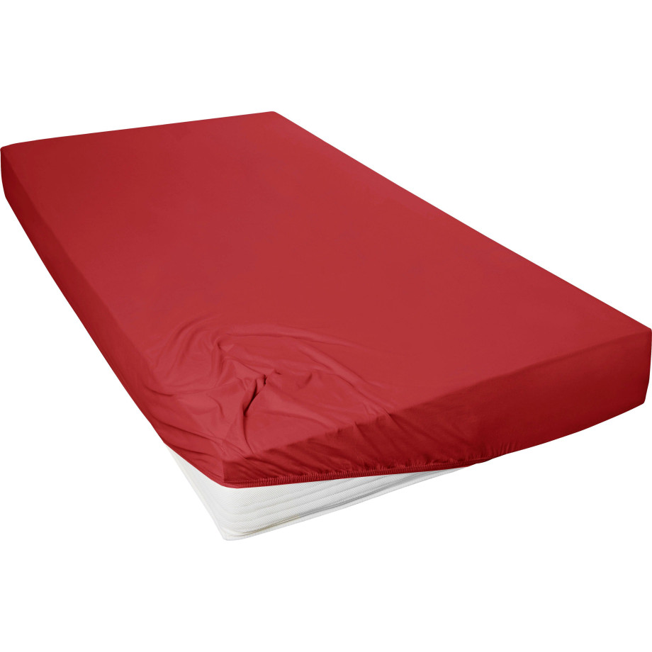 Primera Hoeslaken Mako-fijnjersey hoeslaken Geschikt voor standaardmatrassen tot 22 cm, 100% katoen (1 stuk) afbeelding 1