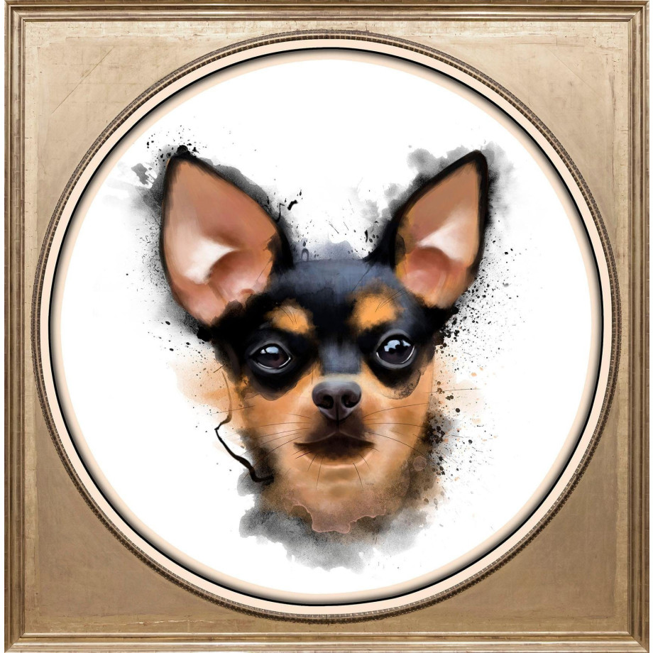 queence Artprint op acrylglas Chihuahua afbeelding 1