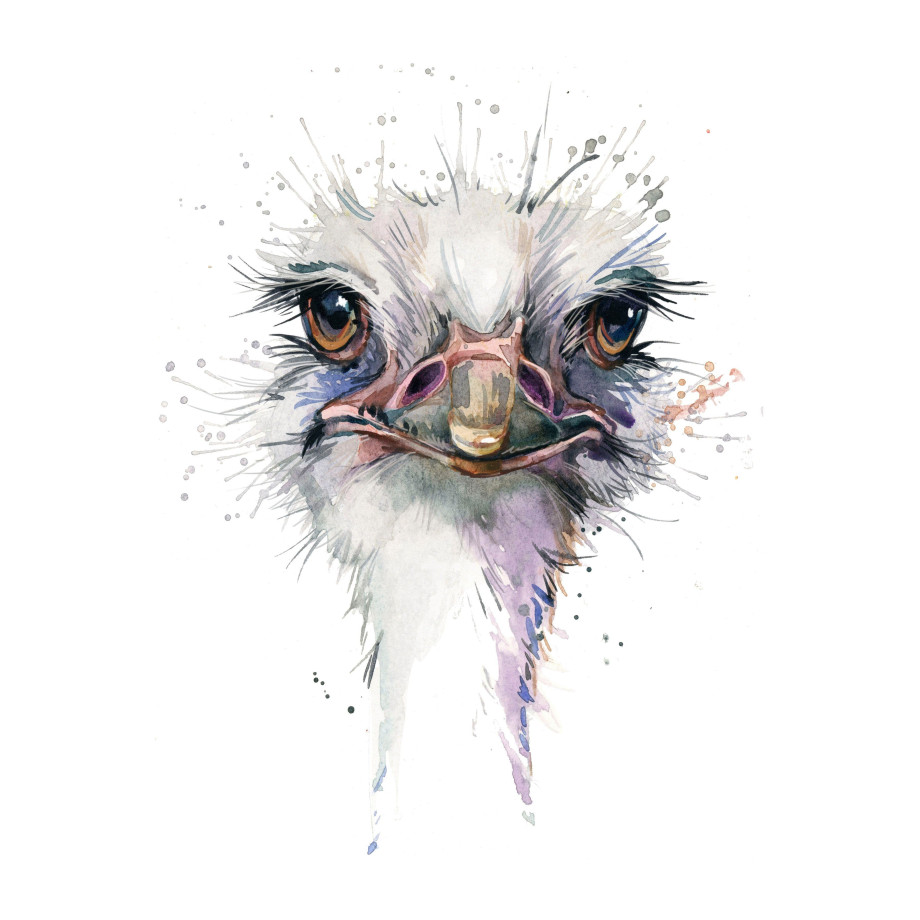 queence Artprint op linnen Struisvogel afbeelding 1