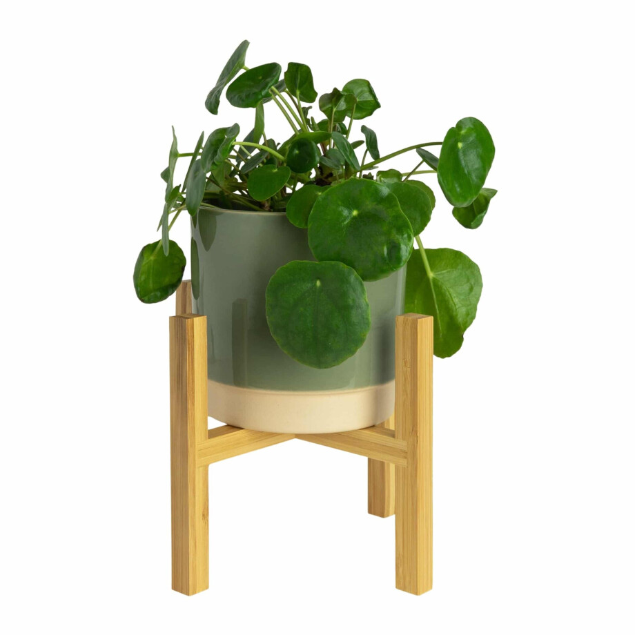 QUVIO Bloempot standaard - Bamboe - Binnenmaat 16 cm QUVIO Bloempot standaard - Bamboe - Binnenmaat 16 cm afbeelding 1
