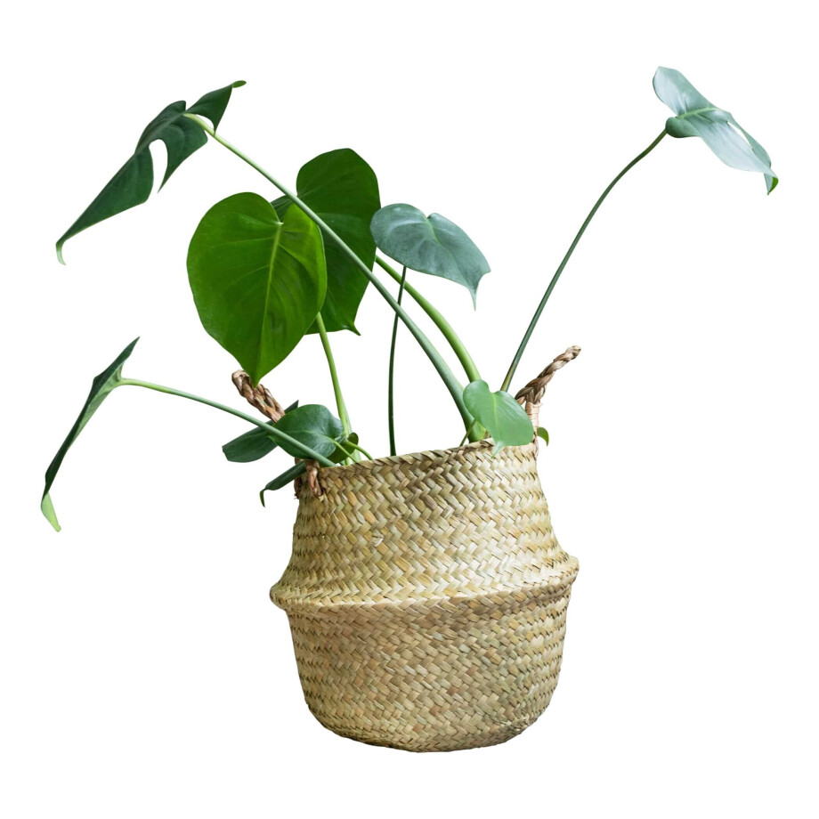 QUVIO Decoratieve opbergmand van vlas met handvaten - 26 x 25 cm afbeelding 1