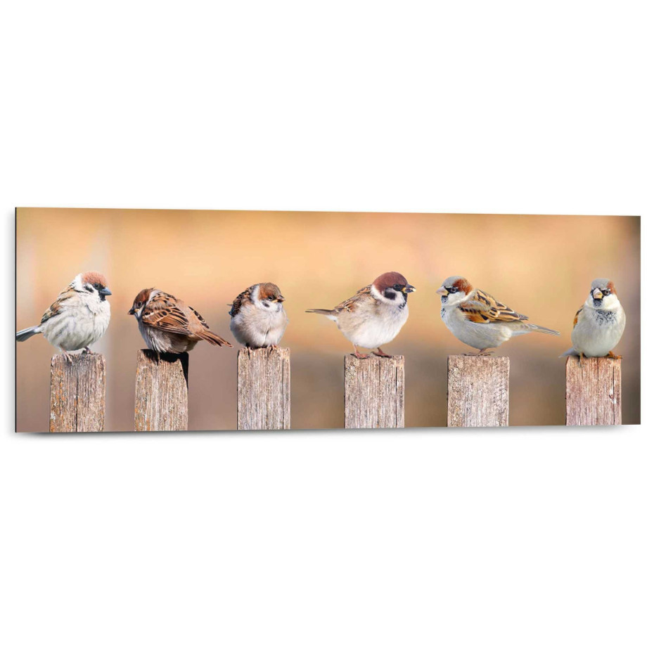 Reinders! Artprint op hout Decoratief paneel 30x90 Bird Family afbeelding 1