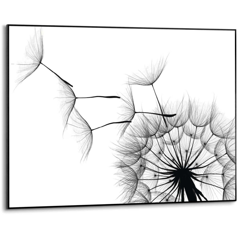 Reinders! Artprint Slim Frame Black 50x70 Dandelion afbeelding 1