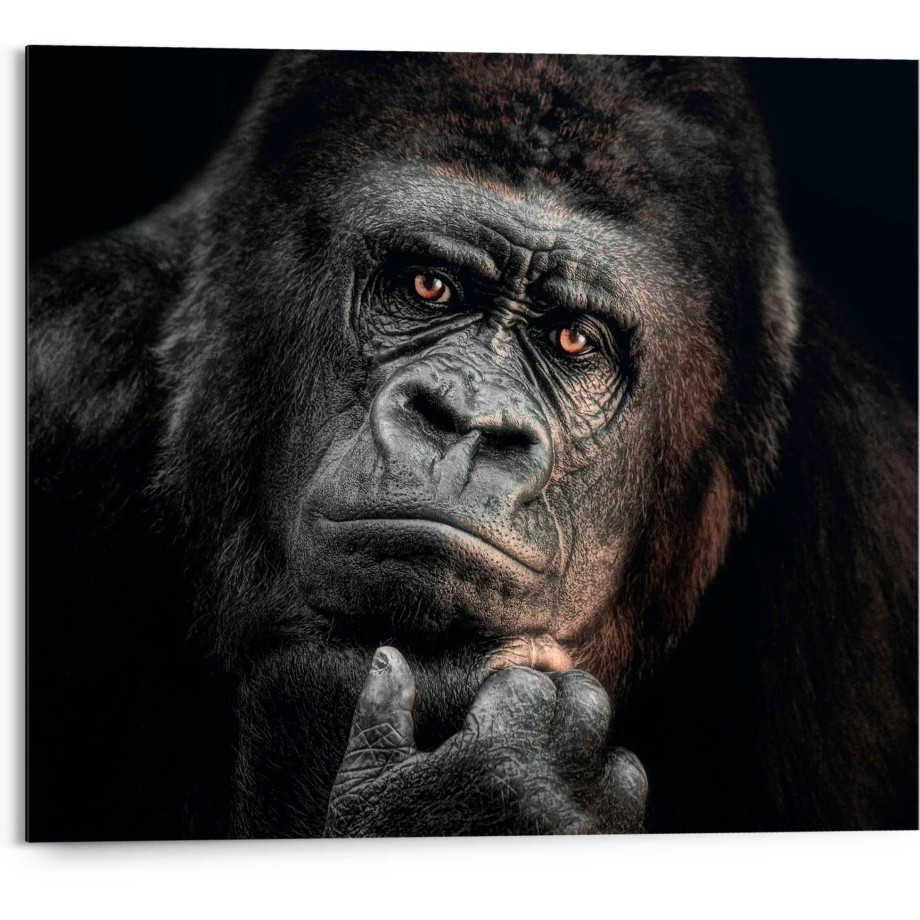 Reinders! Decoratief paneel Gorilla afbeelding 1