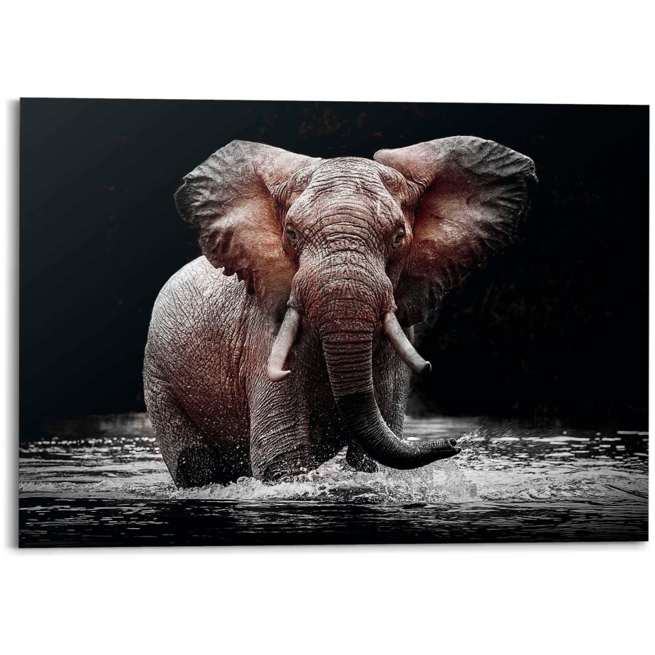 Reinders! Decoratief paneel Olifant afbeelding 1