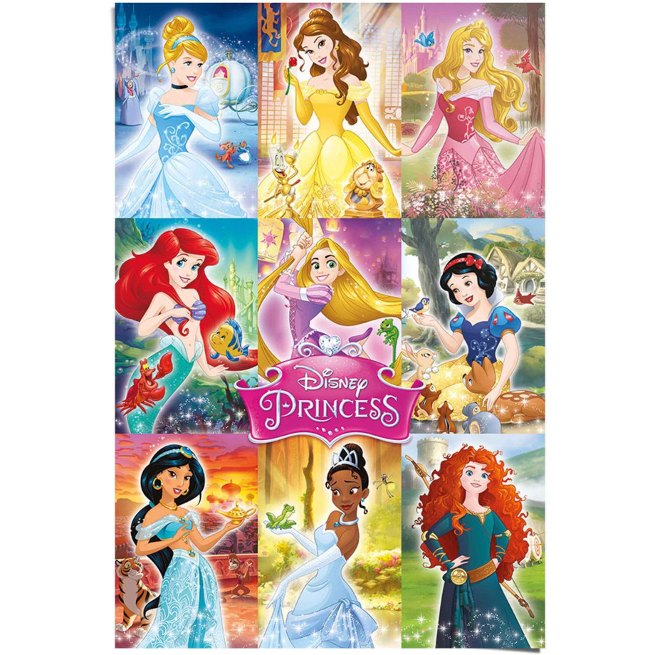 Reinders! Poster Disney`s prinsessen collage afbeelding 1