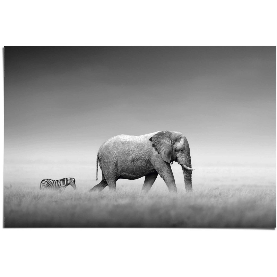 Reinders! Poster Koningen van de natuur olifant afbeelding 1