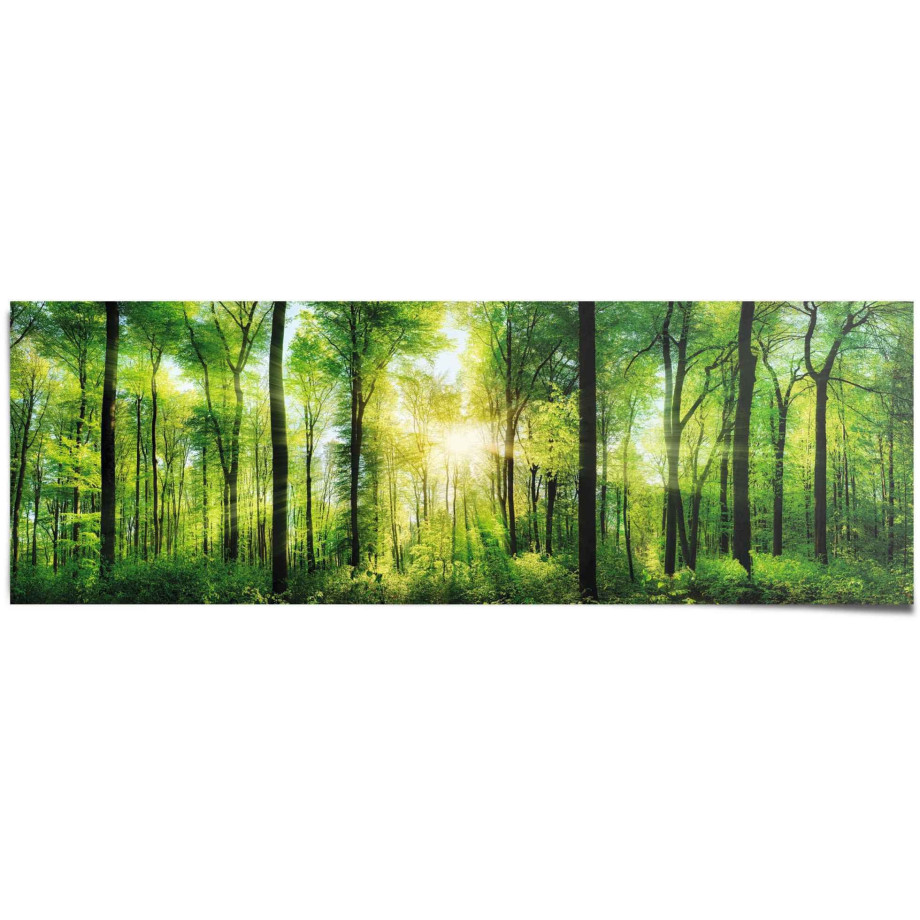 Reinders! Poster Zomerbos afbeelding 1