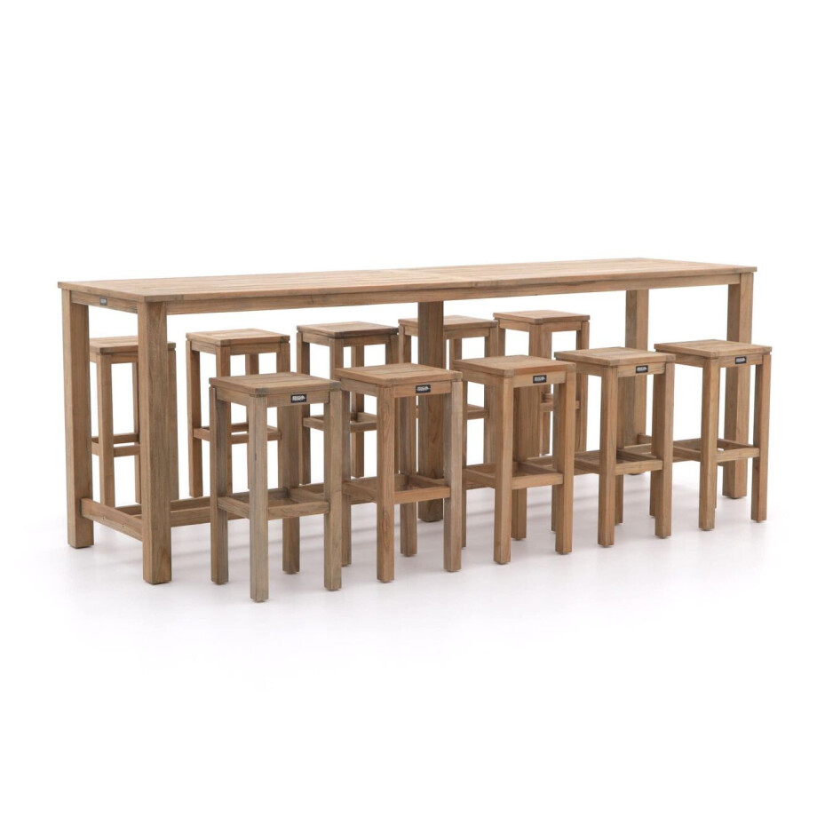 ROUGH-X 300cm barset 11-delig - Laagste prijsgarantie! afbeelding 1