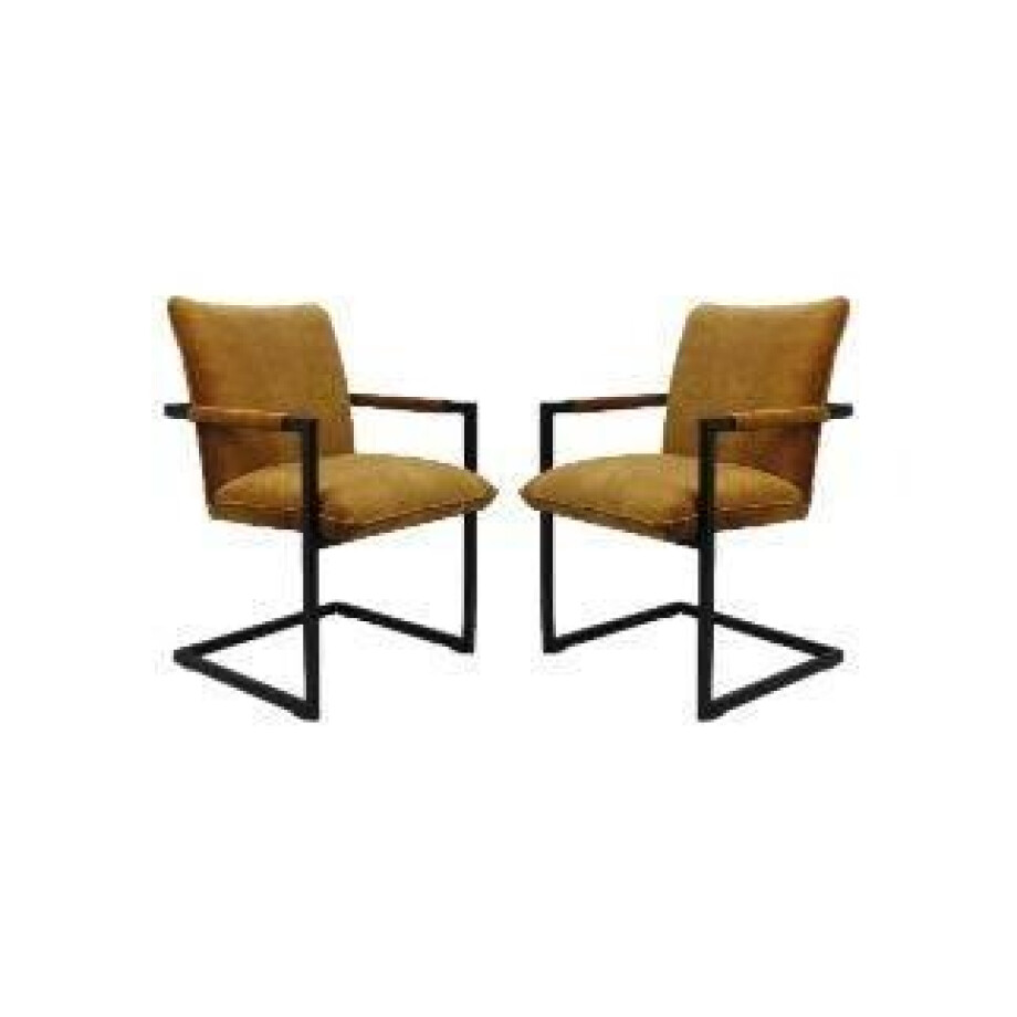 Set van 2 eetkamerstoelen Boston velvet | HSM Collection afbeelding 1