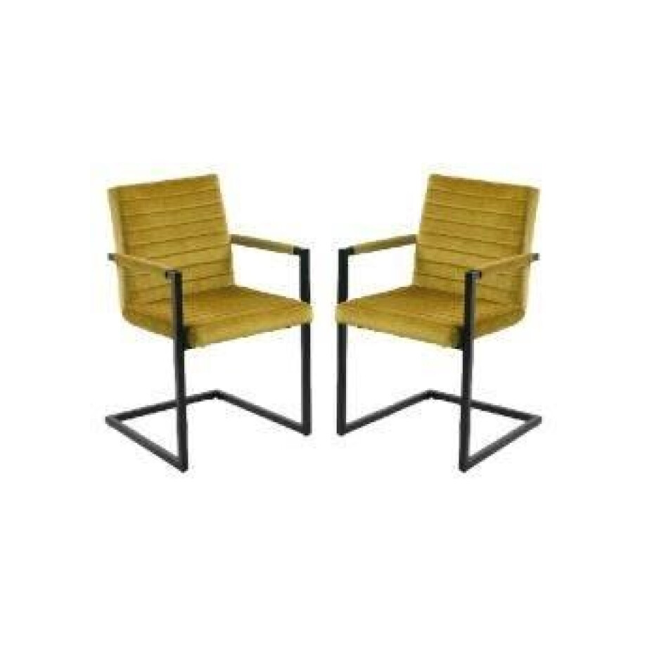 Set van 2 eetkamerstoelen Colorado velvet | HSM Collection afbeelding 1