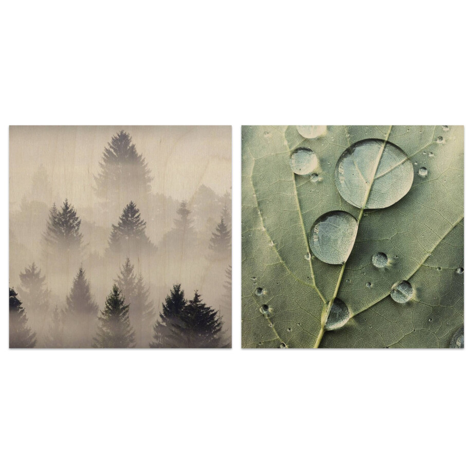 Set van 2 houtprints Misty Woods en Dew Drops | Orangewallz afbeelding 1