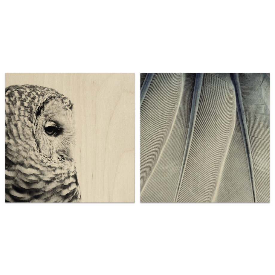 Set van 2 houtprints Owl en Fine Feathers | Orangewallz afbeelding 1