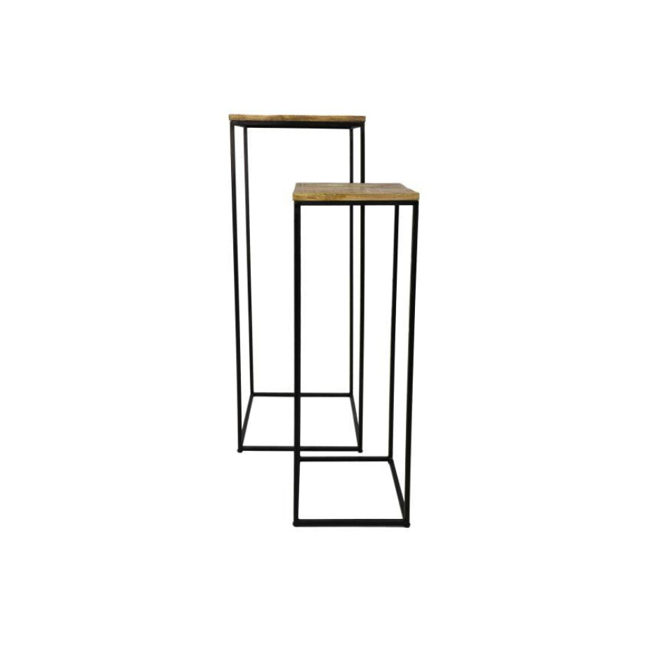 Set van 2 plantenstandaarden Jeftha | HSM Collection afbeelding 1
