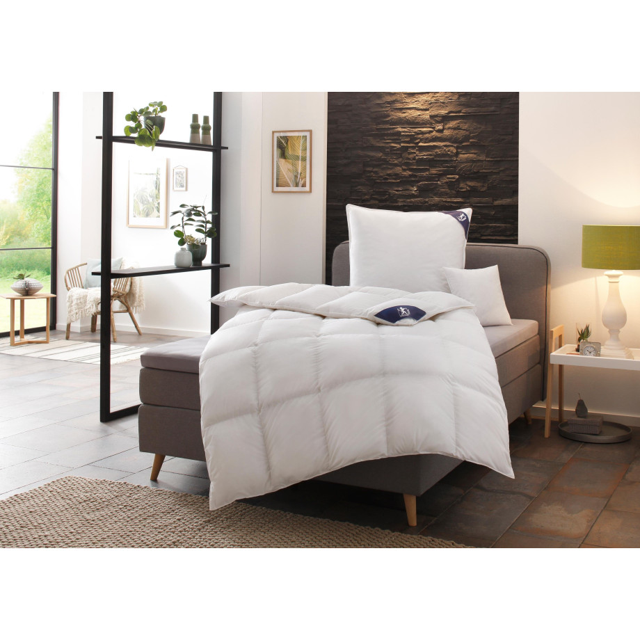 SPESSARTTRAUM Donzen dekbed + 3-kamer-hoofdkussen Exclusief, 2-delig, gemaakt in Duitsland, made in Germany, set (voordeelset) afbeelding 1