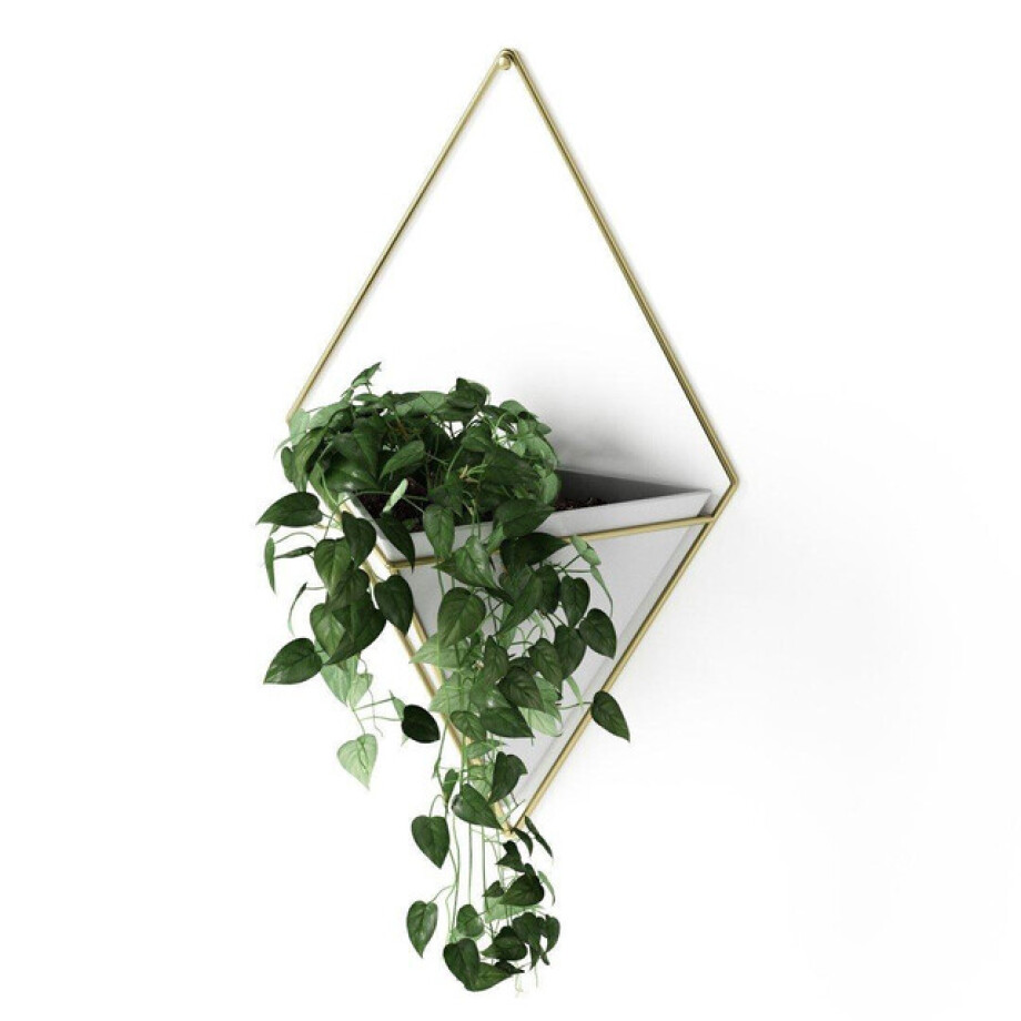Umbra Trigg plantenhouder 10x22x39cm 1 stuk hangend keramiek wit/goud 470752-524 afbeelding 1