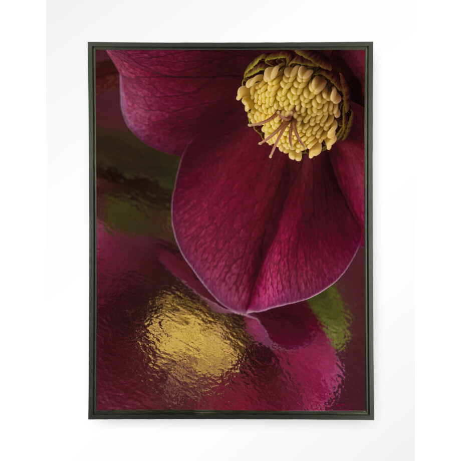 Urban Cotton Wandkleed 'Weerspiegeling Van Een Kerstroos' 110 x 145cm in Floating Frame - black afbeelding 