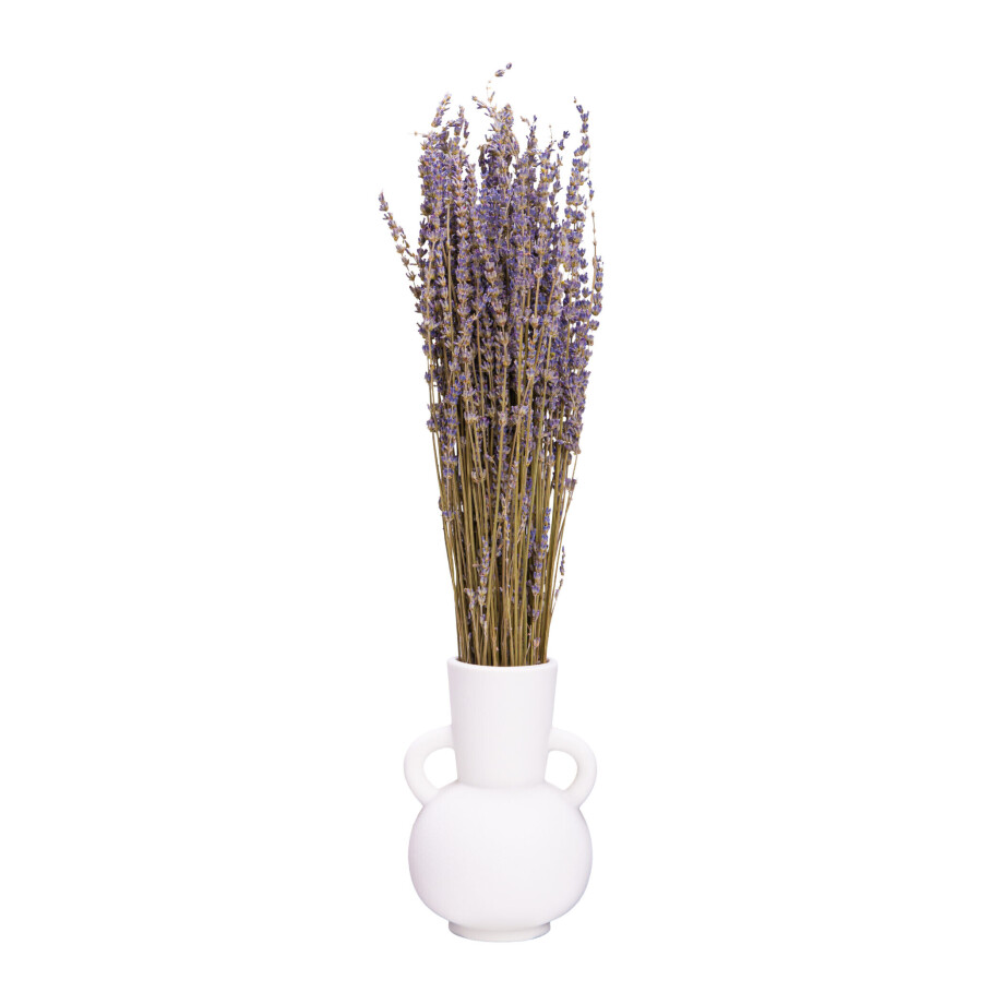 QUVIO Decoratieve vaas met handvatten- Keramiek - Wit QUVIO Decoratieve vaas met handvatten- Keramiek - Wit afbeelding 1