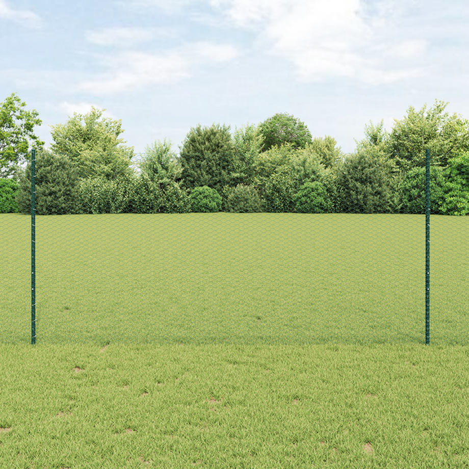 vidaXL Metaal Tuinhekset Set van 2 Groen Metaal 25 x 1,2 meter afbeelding 1
