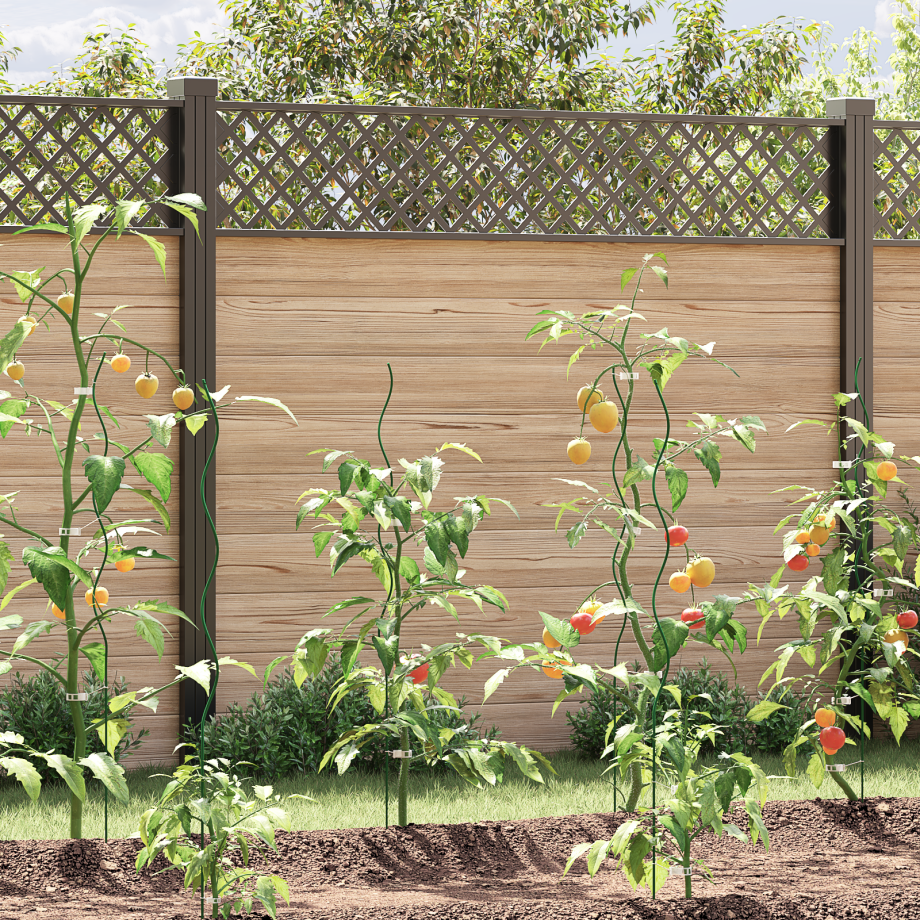 vidaXL Plantensteunen spiraal 50 st 110 cm staal vidaXL Plantensteunen spiraal 50 st 110 cm staal afbeelding 1