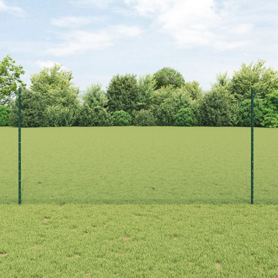 vidaXL Zeshoekig Tuinhek Set Set van 2 Groen Metaal 25 x 1.2 m vidaXL Zeshoekig Tuinhek Set Set van 2 Groen Metaal 25 x 1.2 m afbeelding 1