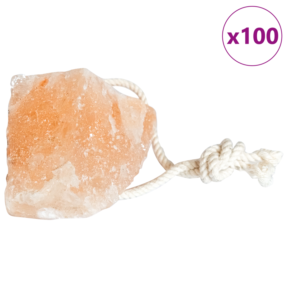 vidaXL Zoutlikstenen 100 st met koorden voor vee 12,5 kg roze afbeelding 1