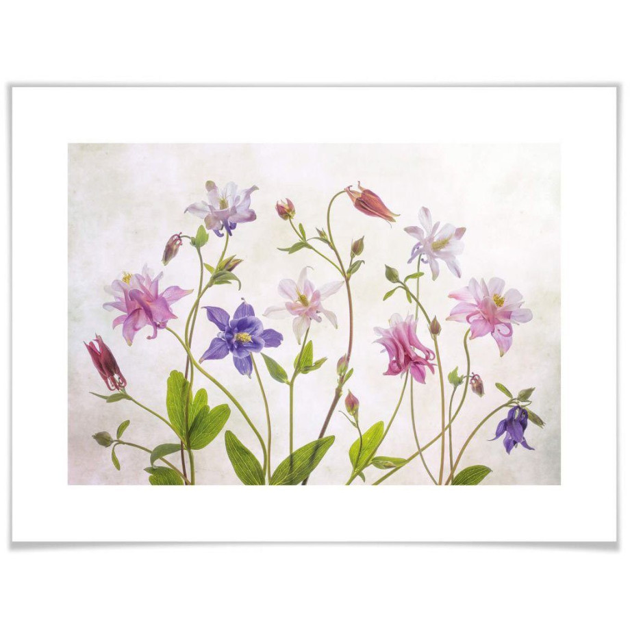 Wall-Art Poster Bouquet Poster zonder lijst (1 stuk) afbeelding 1