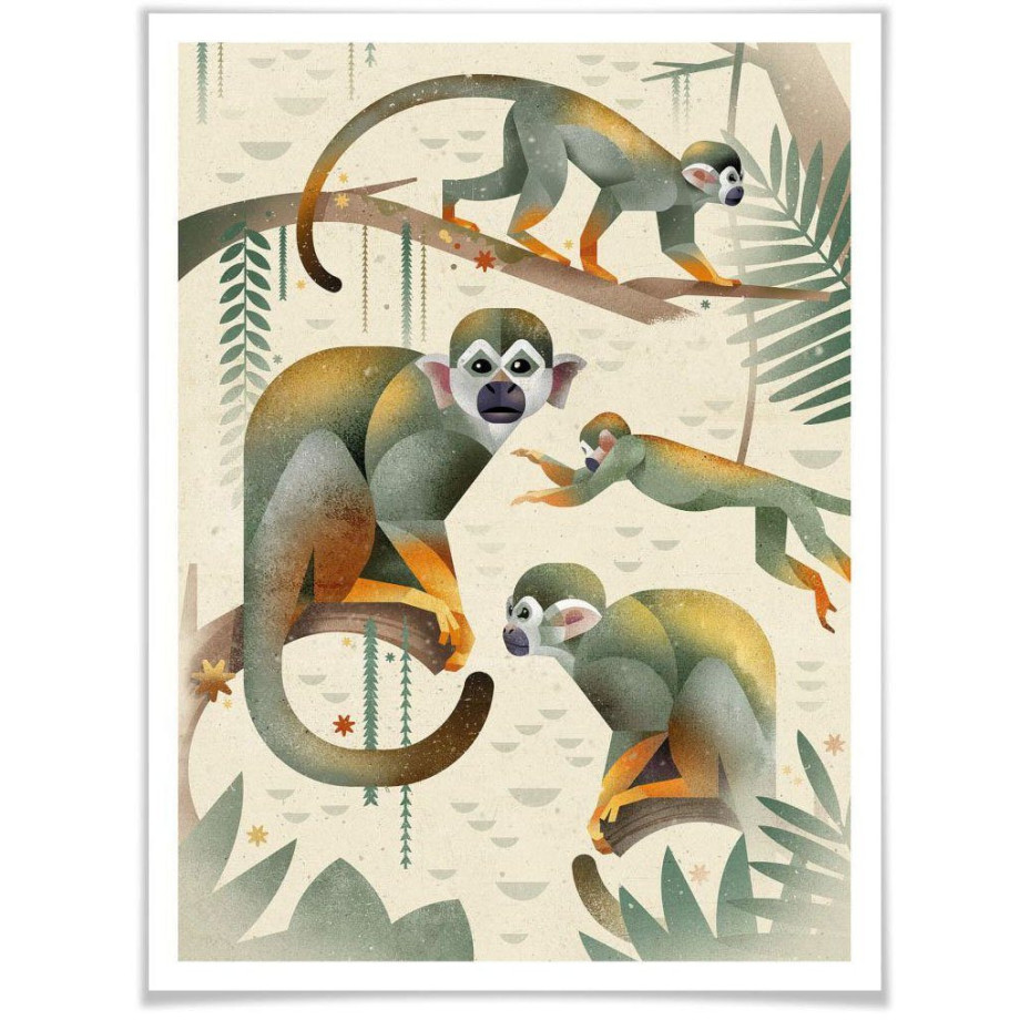 Wall-Art Poster Squirrel Monkeys Poster zonder lijst (1 stuk) afbeelding 1