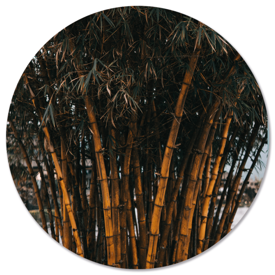 Wanddecoratie cirkel Bamboo | Label2X afbeelding 1