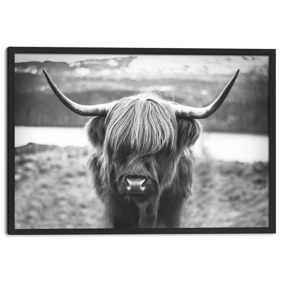 Wanddecoratie Cow | Orangewallz afbeelding 1