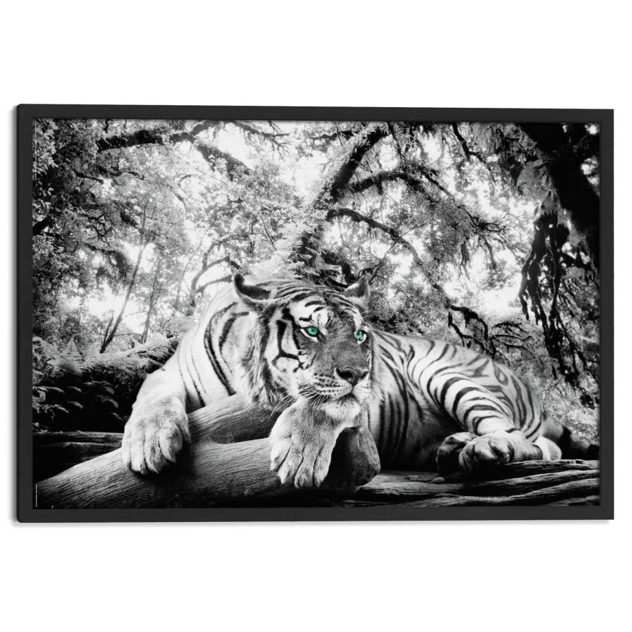 Wanddecoratie Tijger | Orangewallz afbeelding 1