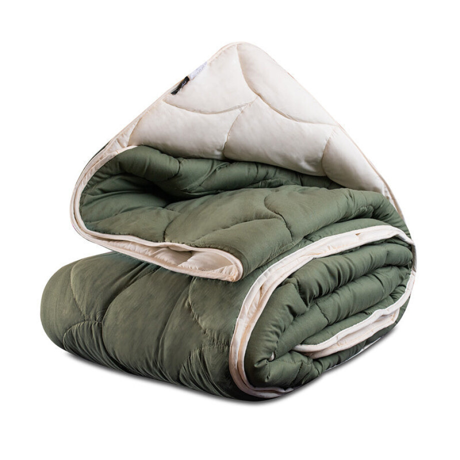 1+1 Gratis Wasbaar Easy Dekbed Zonder Overtrek - Najaarskleuren Creme Groen - Easy - 140x200 Cm (Eenpersoons) - Zydante 300 Gsm - Dekbed-Discounter.nl 1+1 Gratis Wasbaar Easy Dekbed Zonder Overtrek - Najaarskleuren Creme Groen - Easy - 140x200 Cm (Eenpersoons) - Zydante 300 Gsm - Dekbed-Discounter.nl afbeelding 1