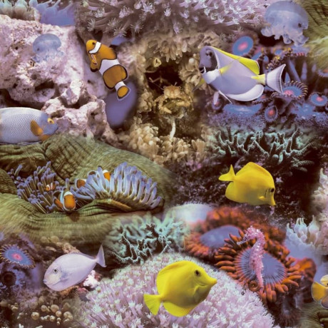 Noordwand Good Vibes Behang Coral and Tropical Fish geel en paars afbeelding2 - 1