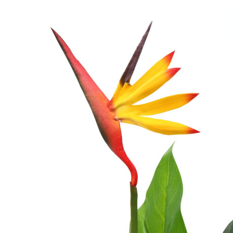 vidaXL Kunstplant paradijsvogelbloem 66 cm afbeelding2 - 1