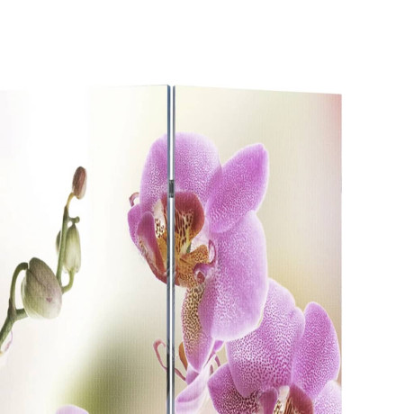 vidaXL Kamerscherm inklapbaar bloem 120x170 cm afbeelding2 - 1