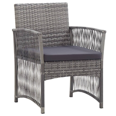 vidaXL Tuinstoelen met kussens 2 st poly rattan antraciet afbeelding2 - 1