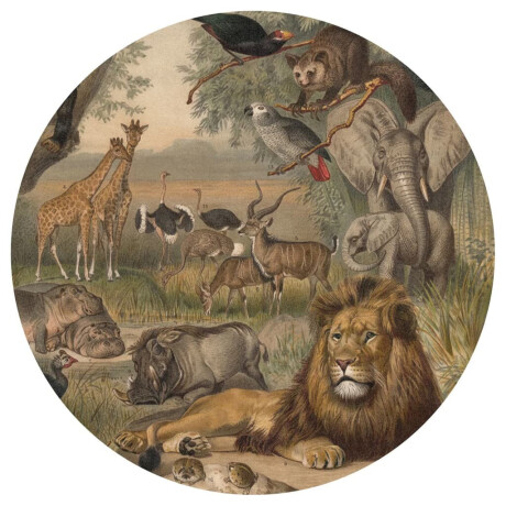 WallArt Behangcirkel Animals of Africa 142,5 cm afbeelding2 - 1