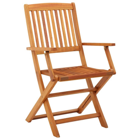 vidaXL Tuinstoelen 4 st inklapbaar massief eucalyptushout afbeelding2 - 1