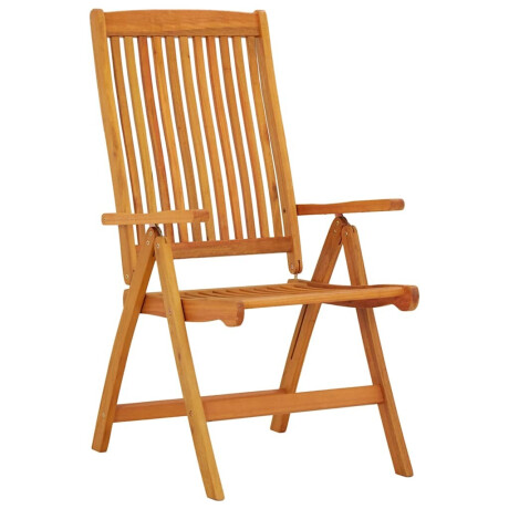 vidaXL Tuinstoelen 2 st inklapbaar massief eucalyptushout afbeelding2 - 1