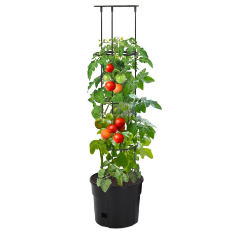 vidaXL Tomatenkweekpot ø29,5x115 cm polypropeen antracietkleurig afbeelding2 - 1