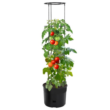 vidaXL Tomatenkweekpot ø39x150 cm polypropeen antracietkleurig afbeelding2 - 1