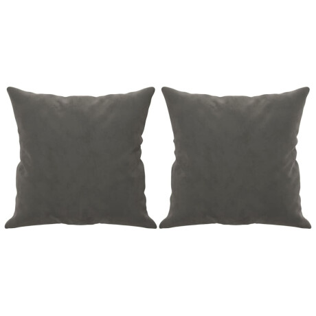 vidaXL Sierkussens 2 st 40x40 cm fluweel donkergrijs afbeelding2 - 1